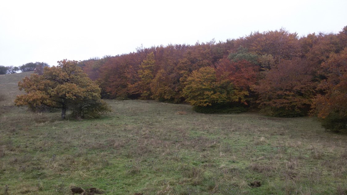 L’autunno a Frasassi: escursione nella splendida Vall’Acera