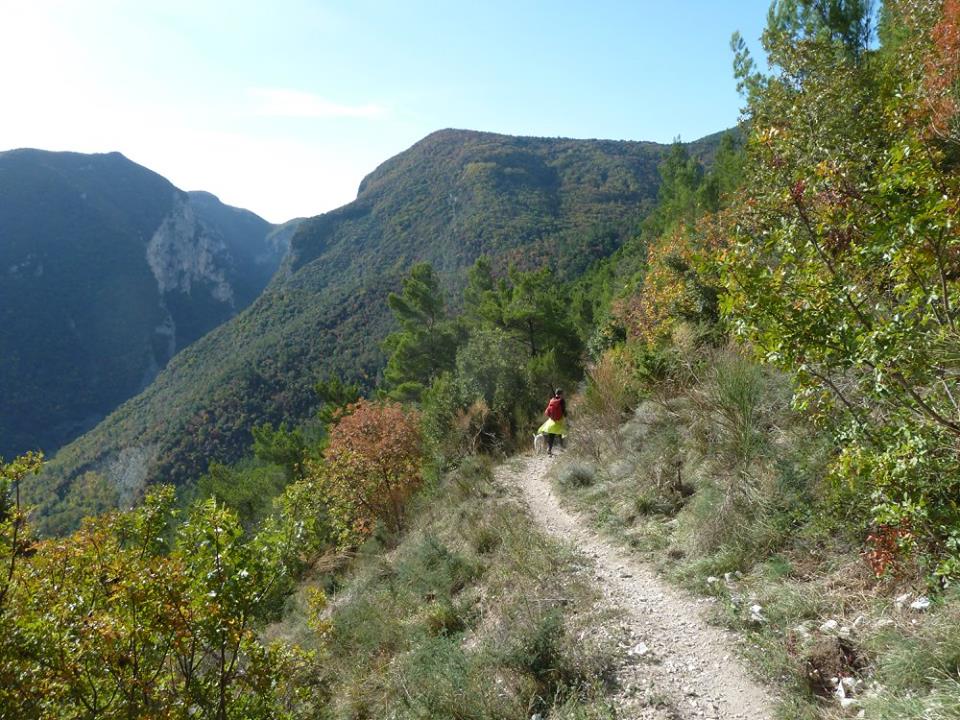 Escursione alla Gola del Furlo, terra di aquile e… tartufi