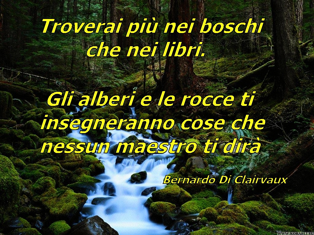 Bernardo Di Clairvaux – Troverai piÃ¹ nei boschi che nei libri. Gli alberi e le rocce ti insegneranno cose che nessun maestro ti dirÃ .