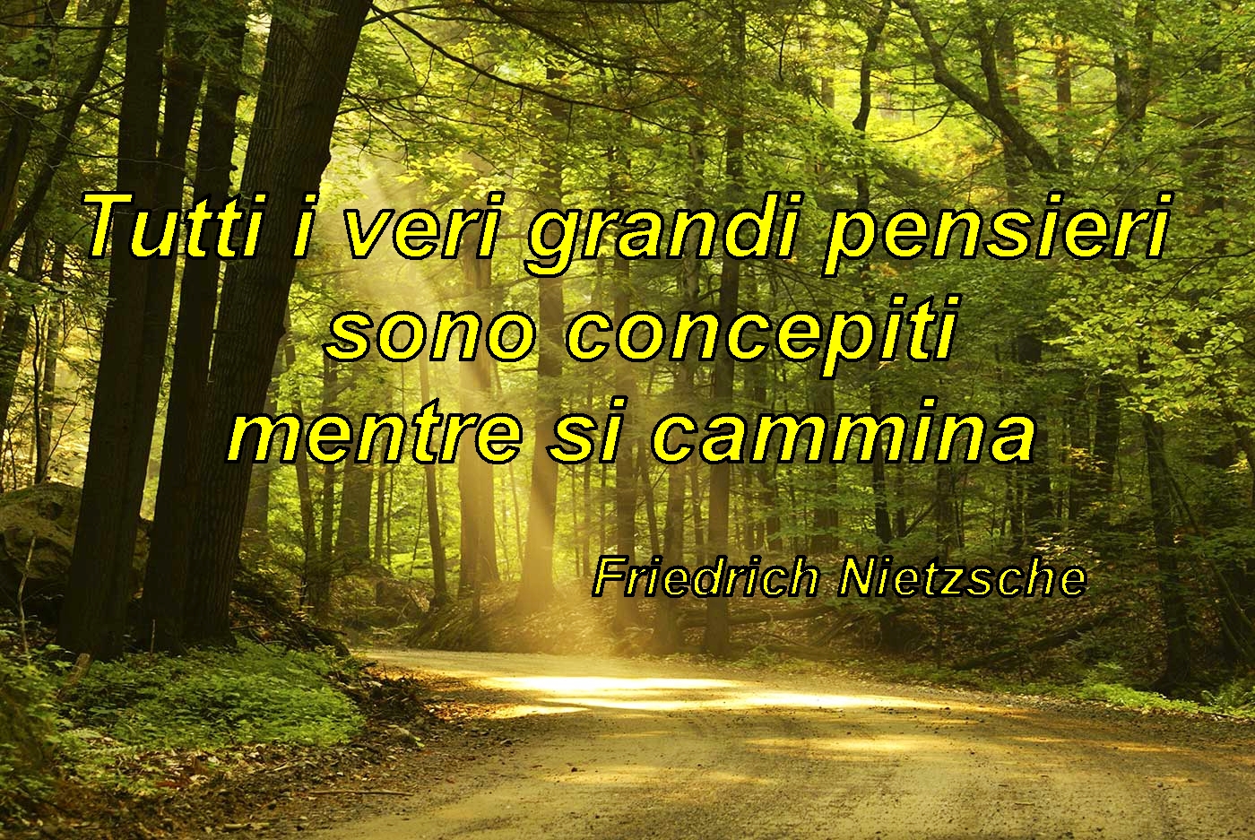 Friedrich Nietzsche – Tutti i veri grandi pensieri sono concepiti mentre si cammina.