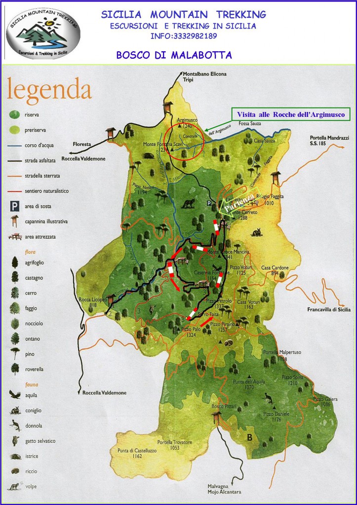 Bosco di Malabotta (il bosco incantato)