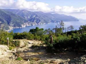 Punta Mesco: Belvedere sulle Cinque Terre