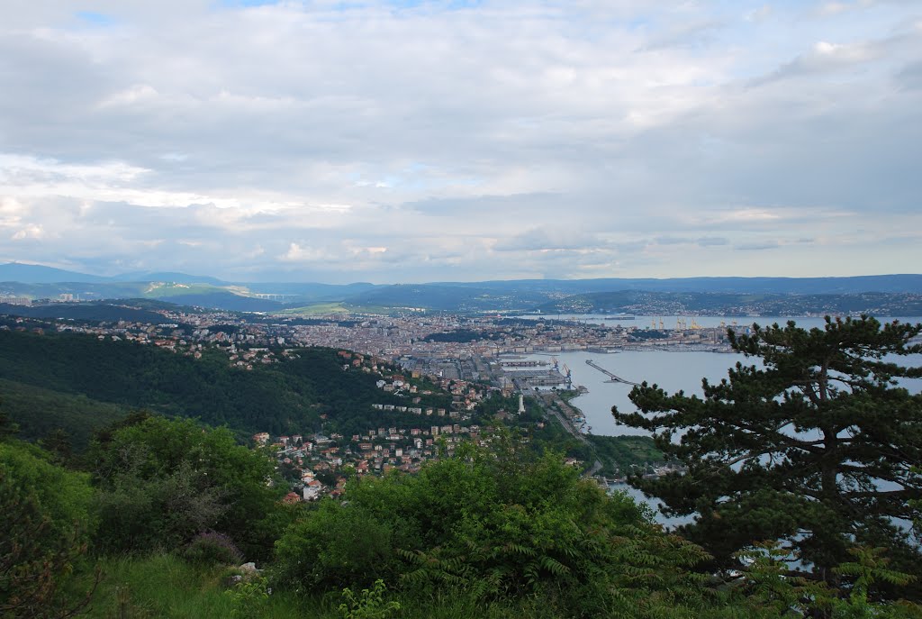Sulla Via della Pace del Carso – 5a tappa