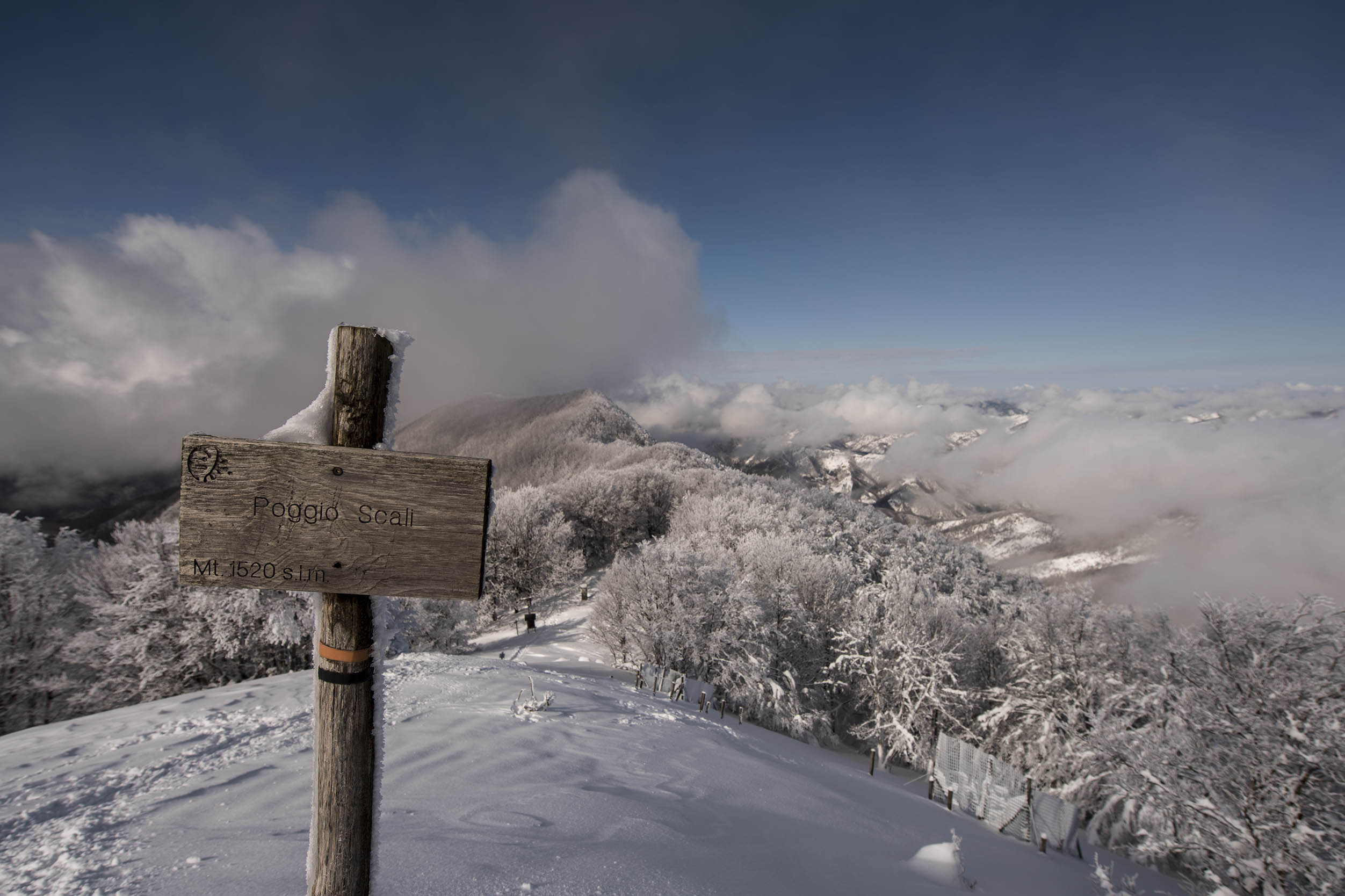 Poggio Scali e Sasso Fratino