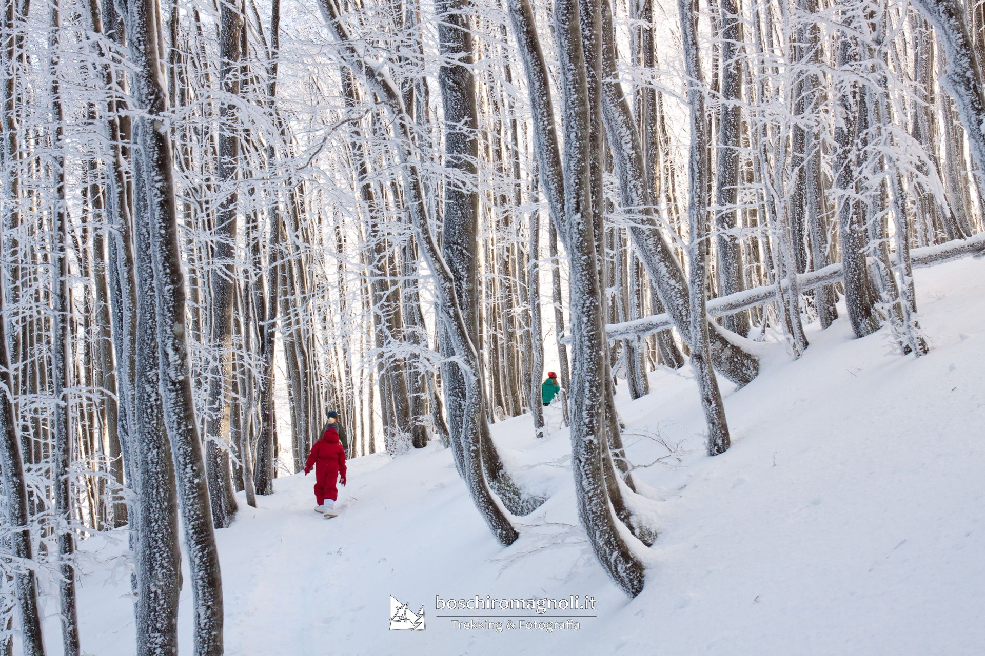 La Ciaspolatina (bambini sulla neve)