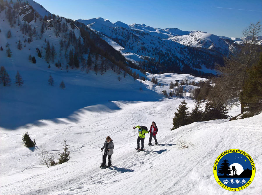 Con le ciaspole sulle nevi della Val Fredda Escursionismo.it