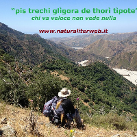 immagine di Società  Cooperativa Naturaliter