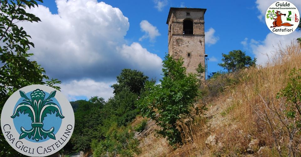 Nel territorio di Castellino di Riolunato… a tutta birra