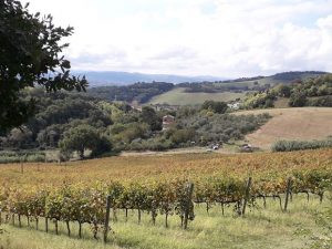 TrenoTrekking: la traversata del San Bartolo