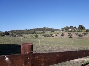 Conero insolito: Rio Pecorara e Monte Colombo