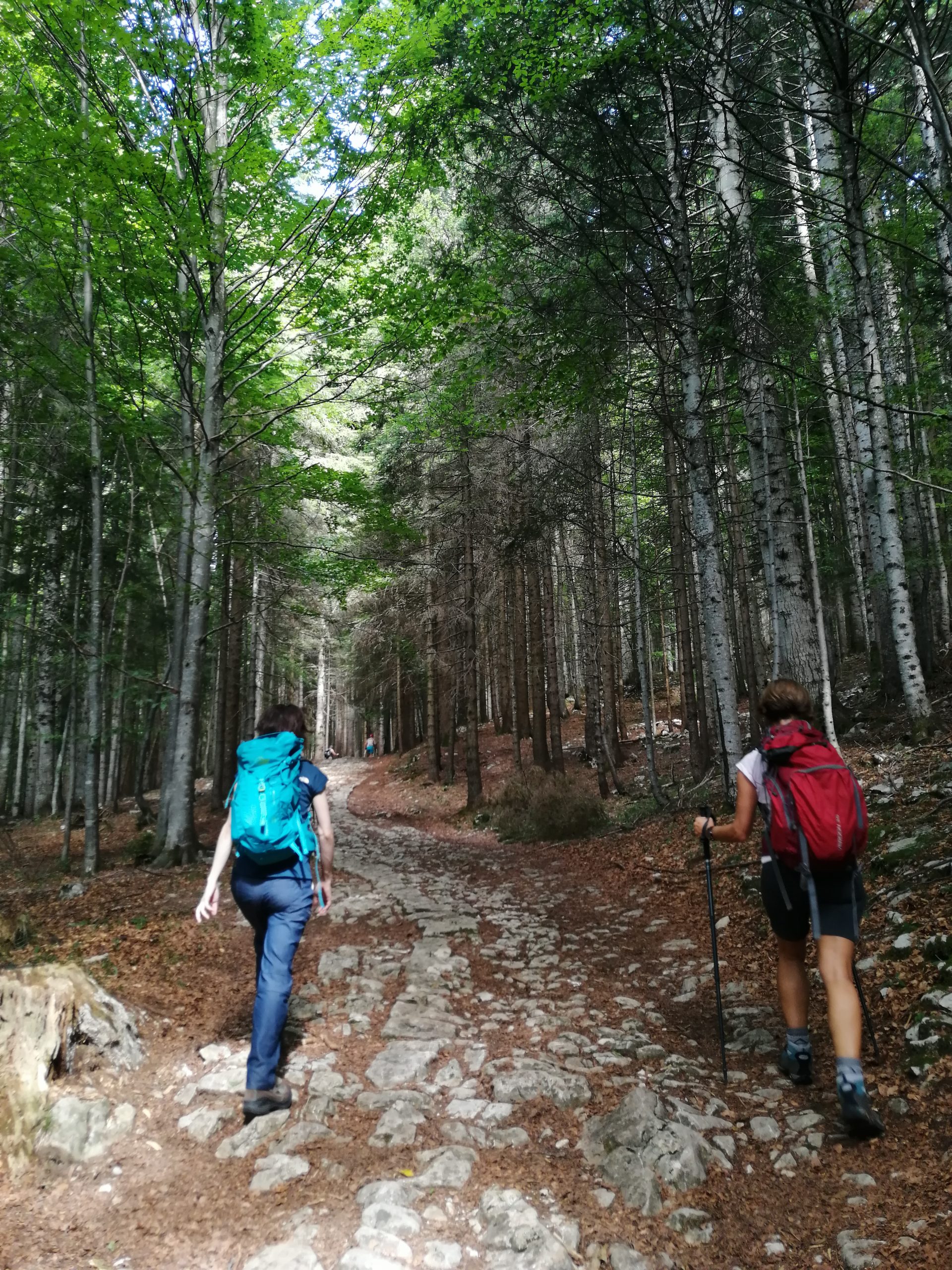 Scarpe trekking consigli on sale
