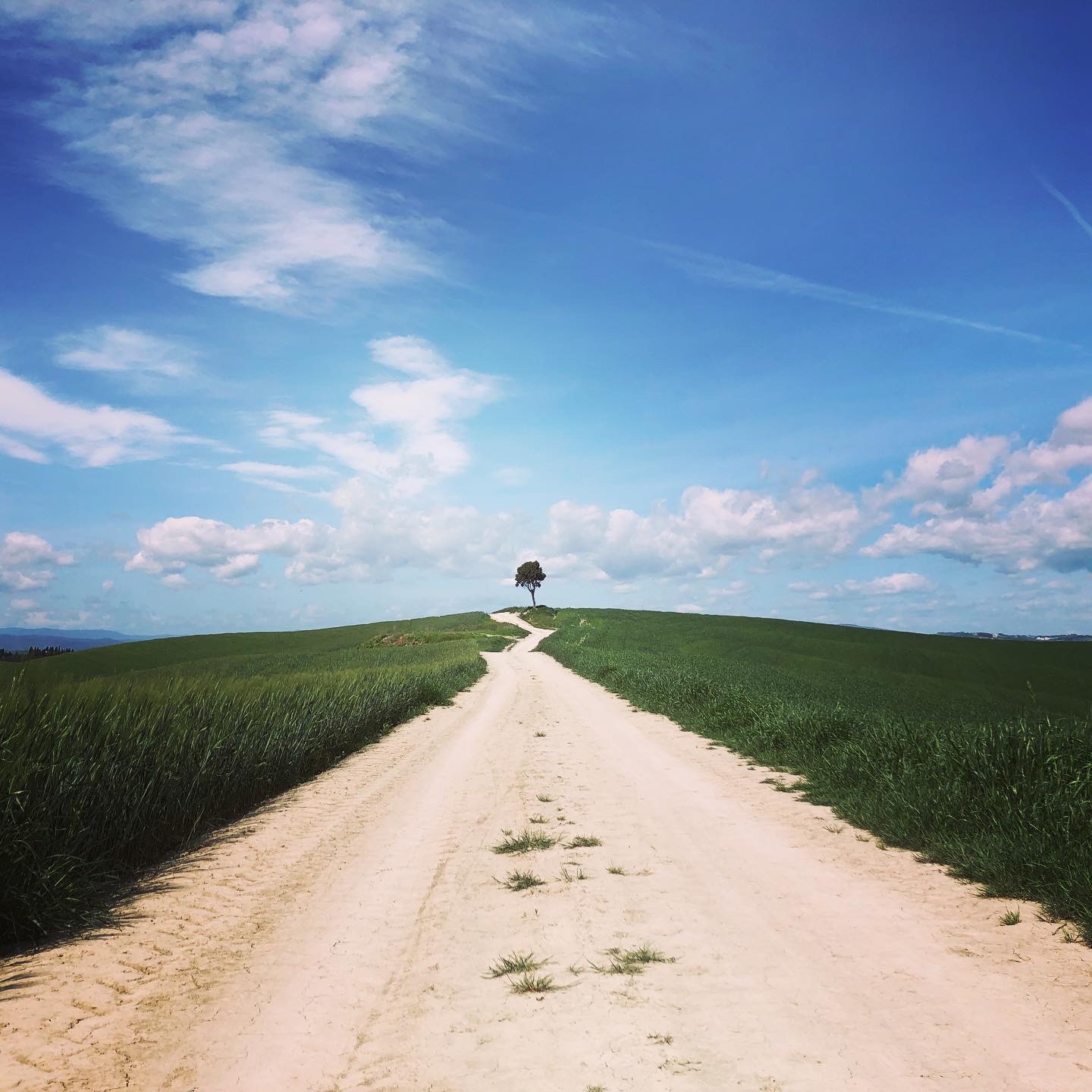 Le crete Senesi, tra Arbia e Asciano