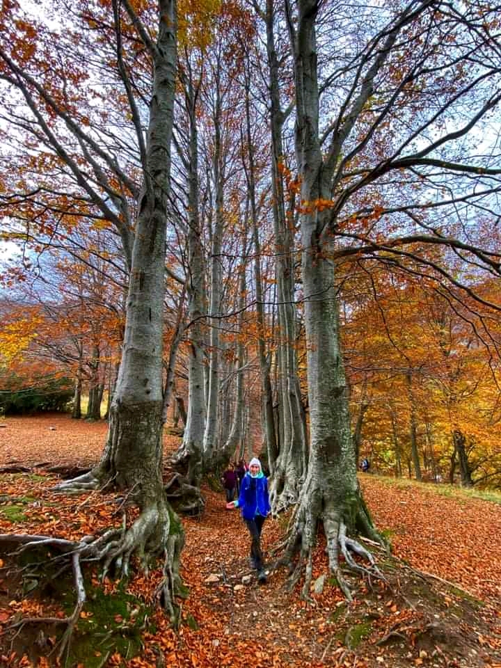 immagine di Silvia Malquori