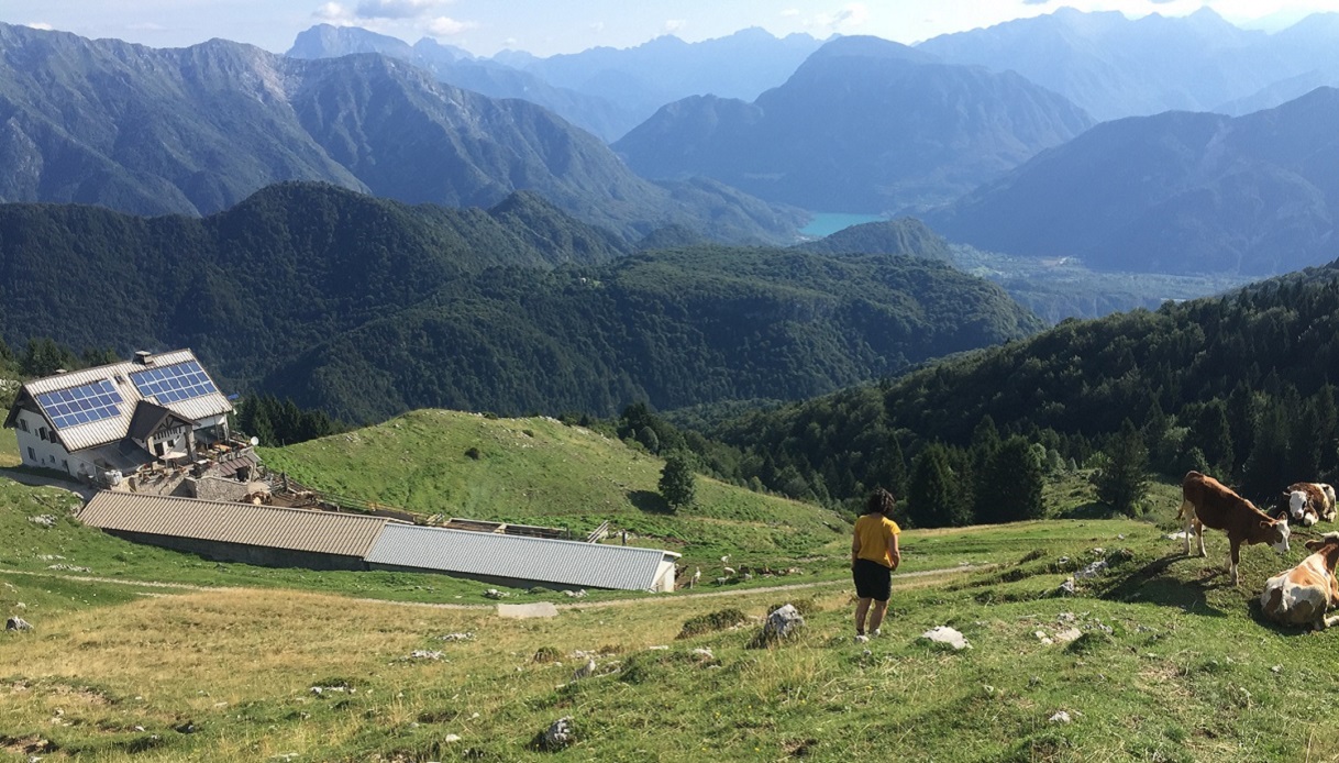 Sul monte Cuar per dominare la valle del Tagliamento