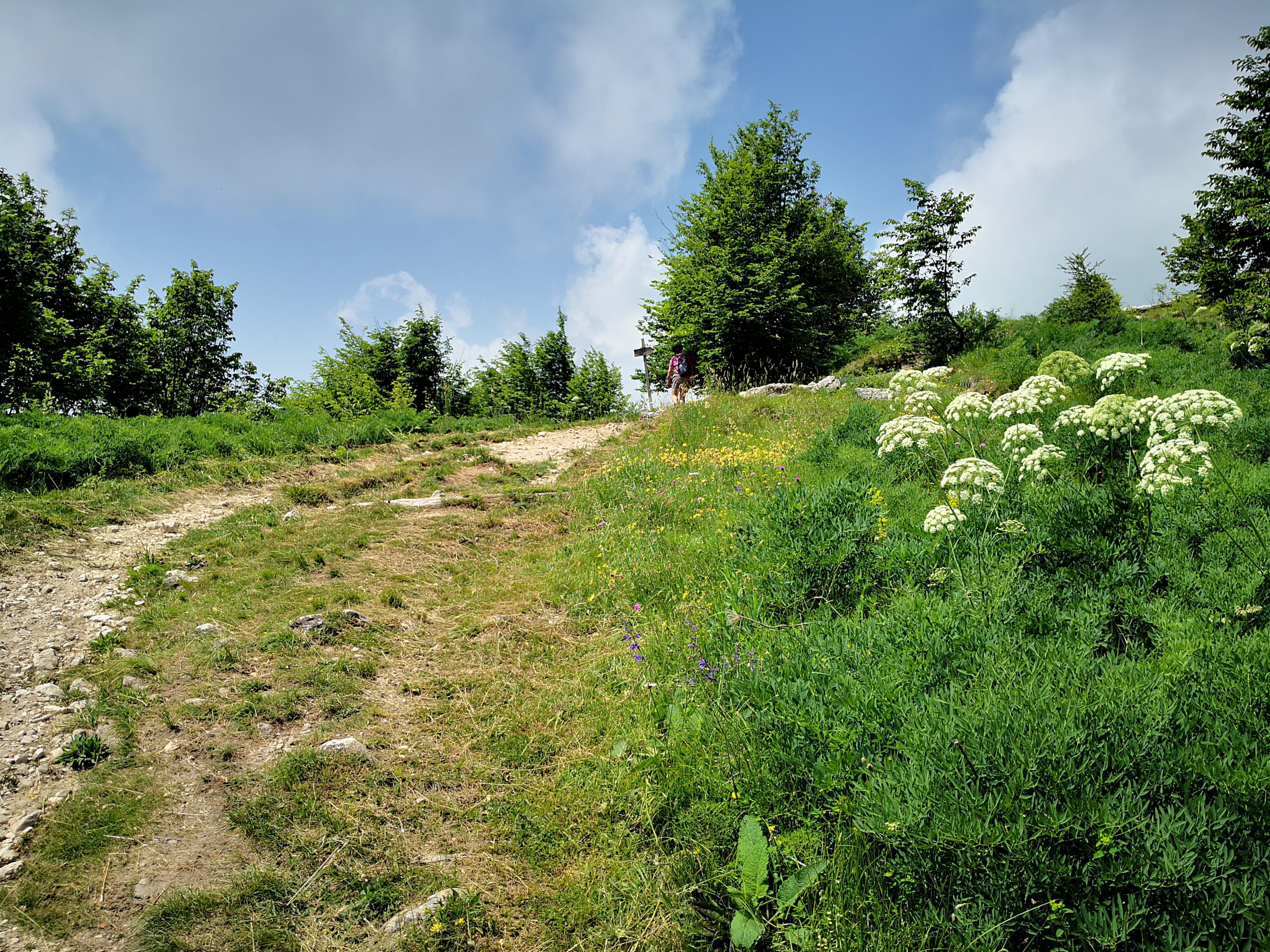 PASSO SAN BOLDO E BIVACCO DEI LOFF