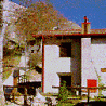 immagine di Pialeral (Antonietta)