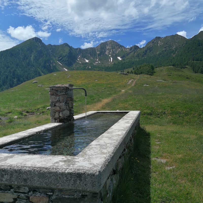 GLI ALPEGGI DEL BITTO STORICO RIBELLE - Escursionismo.it