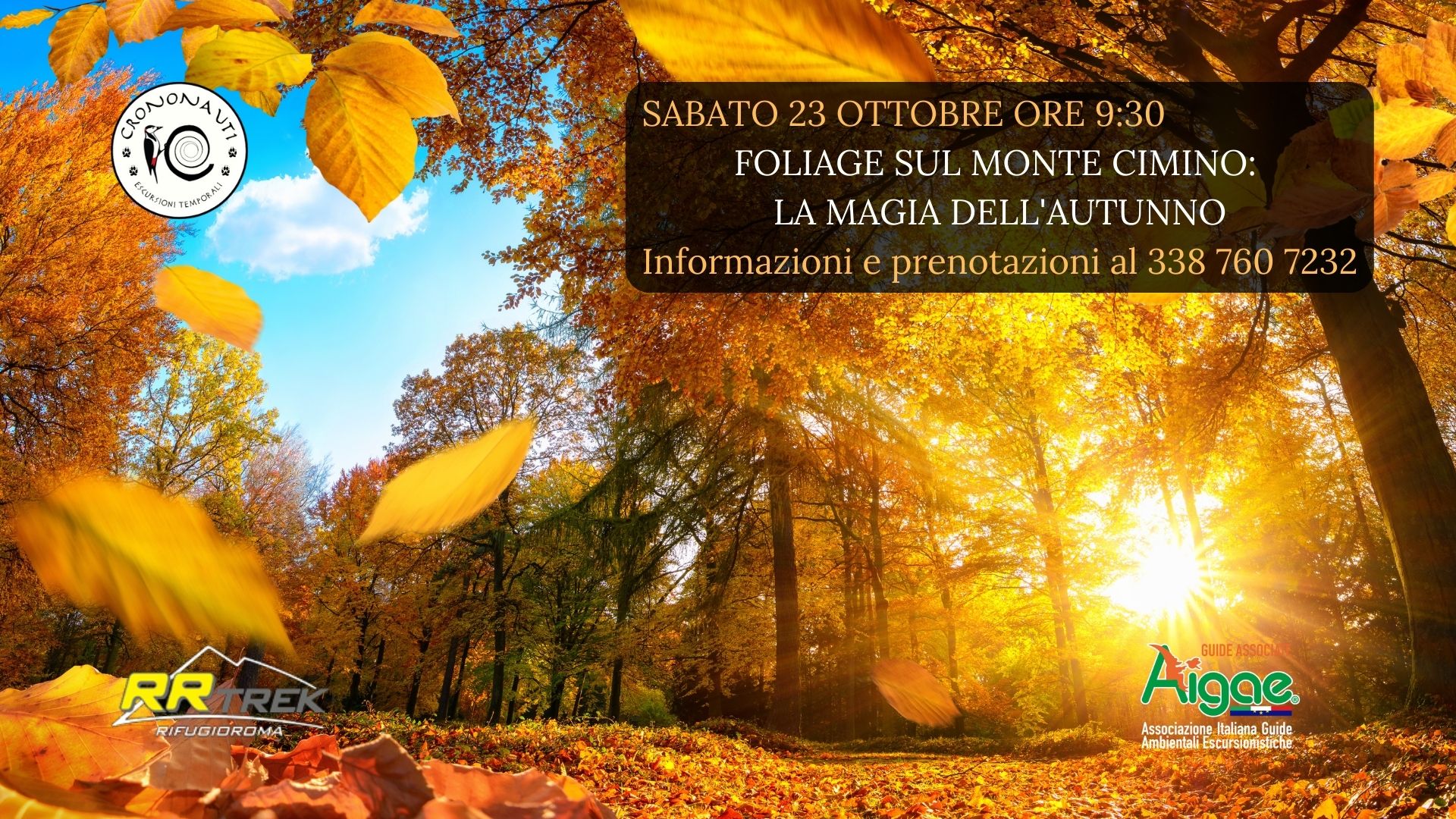 Foliage sul Monte Cimino: la Magia dell'Autunno