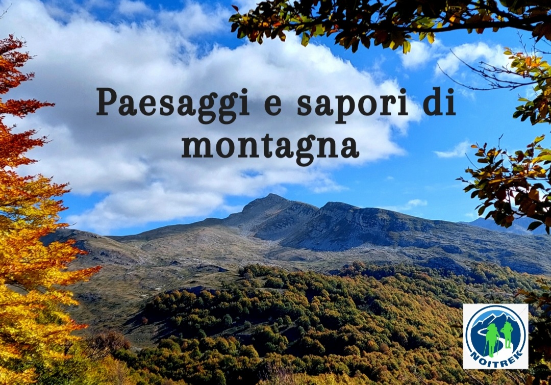 Paesaggi e sapori di montagna