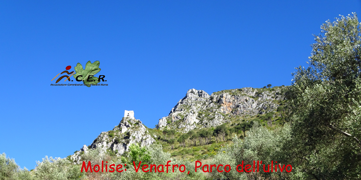 MOLISE: VALLE DEL VOLTURNO, VENAFRO, IL PARCO DELL'OLIVO E LA FESTA DELLA CROCE
