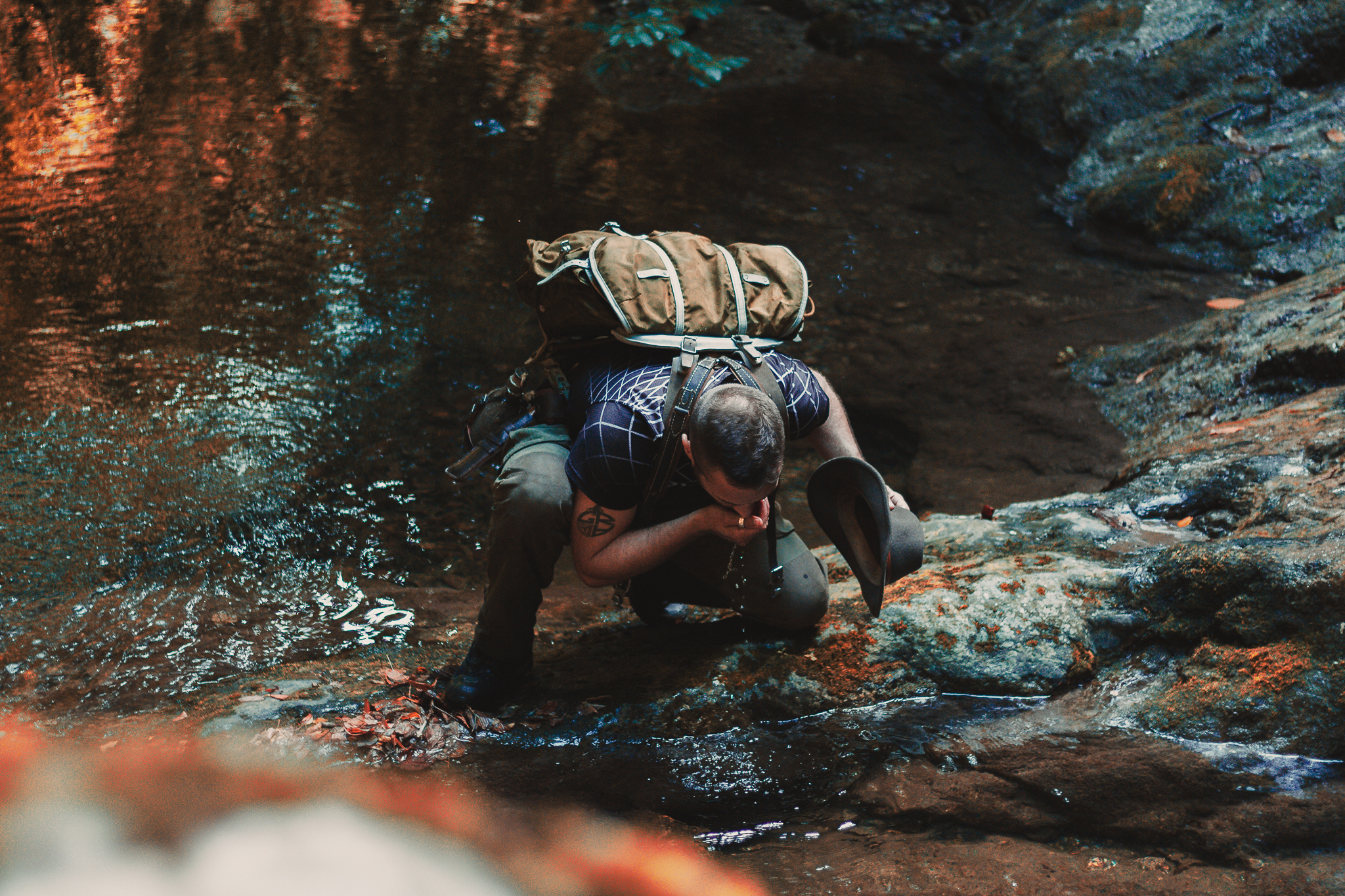 Survival Experience