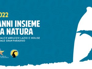 Immagine 100 anni insieme per la Natura: Il Parco Nazionale d’Abruzzo, Lazio e Molise e il Parco Nazionale Gran Paradiso festeggiano 100 anni di impegno per la conservazione della natura