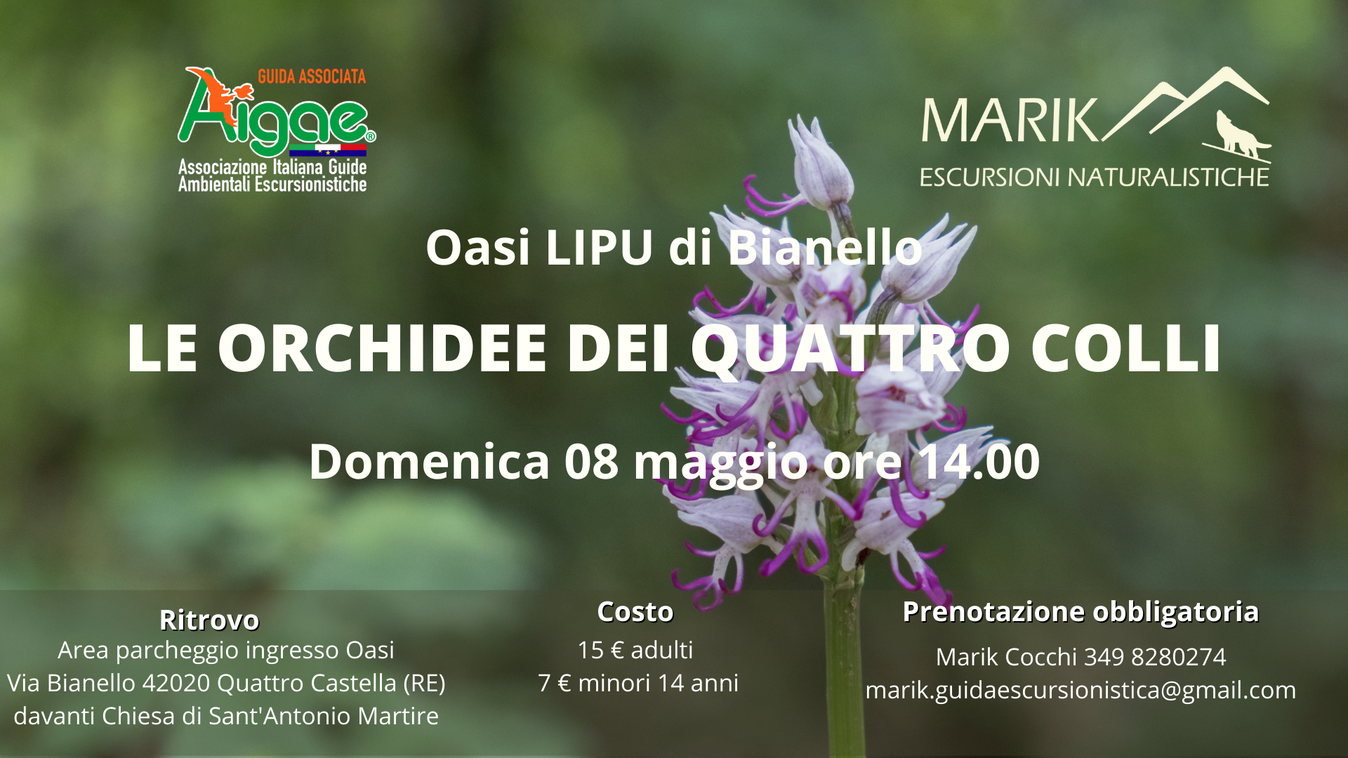 Le orchidee dei quattro colli