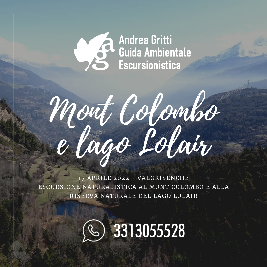 MONT COLOMBO E LAGO LOLAIR
