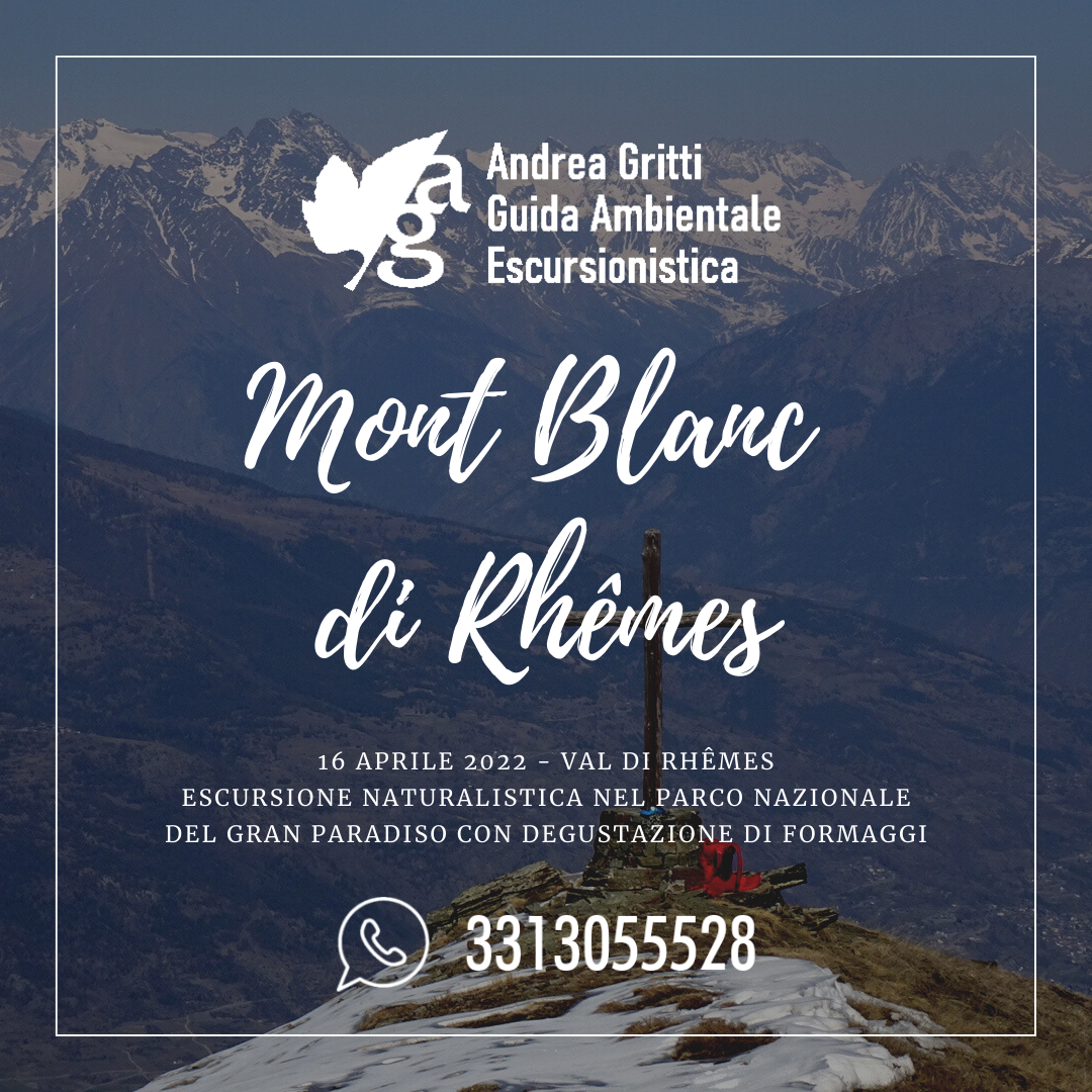 MONT BLANC DI RHEMES