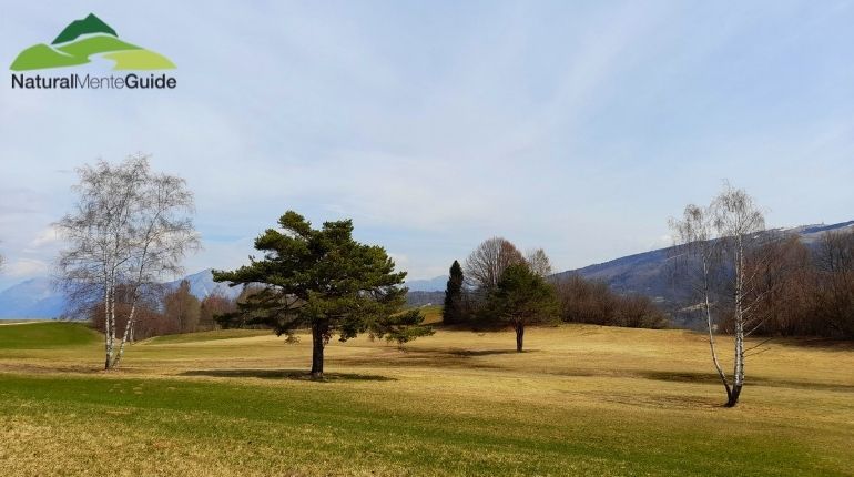 La splendida Valpiana