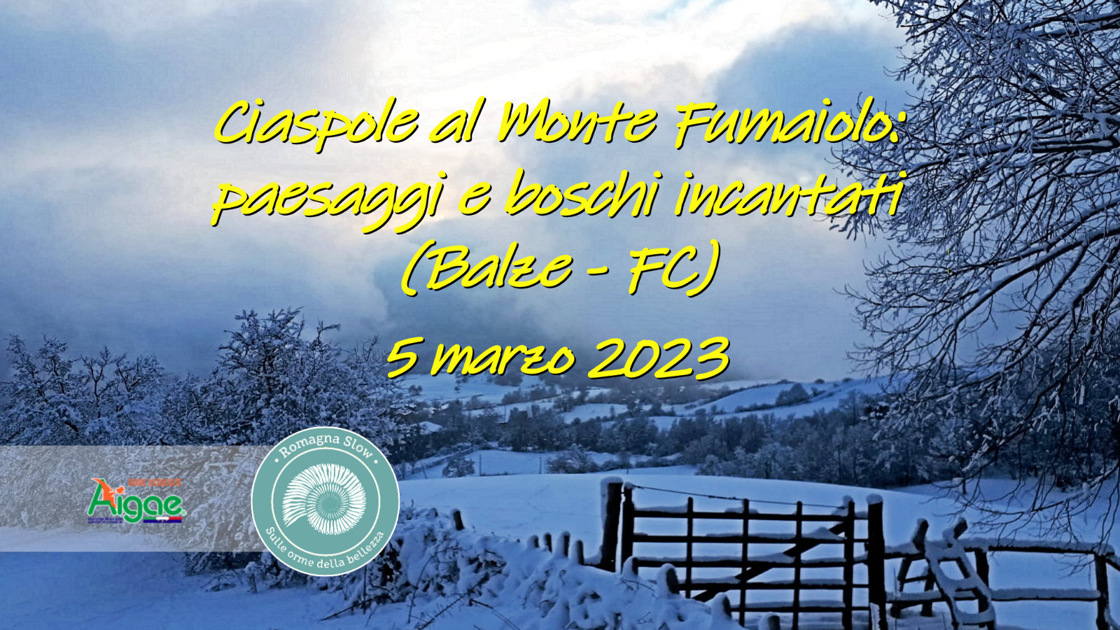 Ciaspole al Monte Fumaiolo: paesaggi e boschi incantati (FC)
