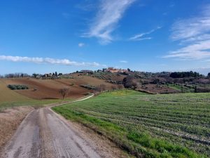 Pizza Day: escursione a Scapezzano e merenda al mulino