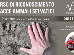 CORSO DI RICONOSCIMENTO TRACCE DEGLI ANIMALI SELVATICI – MARCO COLOMBO