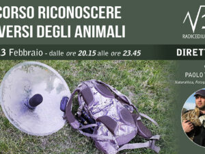 RICONOSCERE I VERSI DEGLI ANIMALI – PAOLO TARANTO