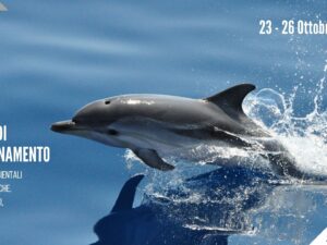 Corso modalità on line – SEA WATCHING E WHALE WATCHING: elementi base per attività di turismo marino