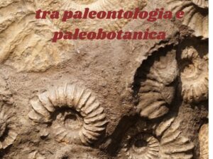 Nel mondo della Geologia: “I Fossili, tra paleontologia e paleobotanica”