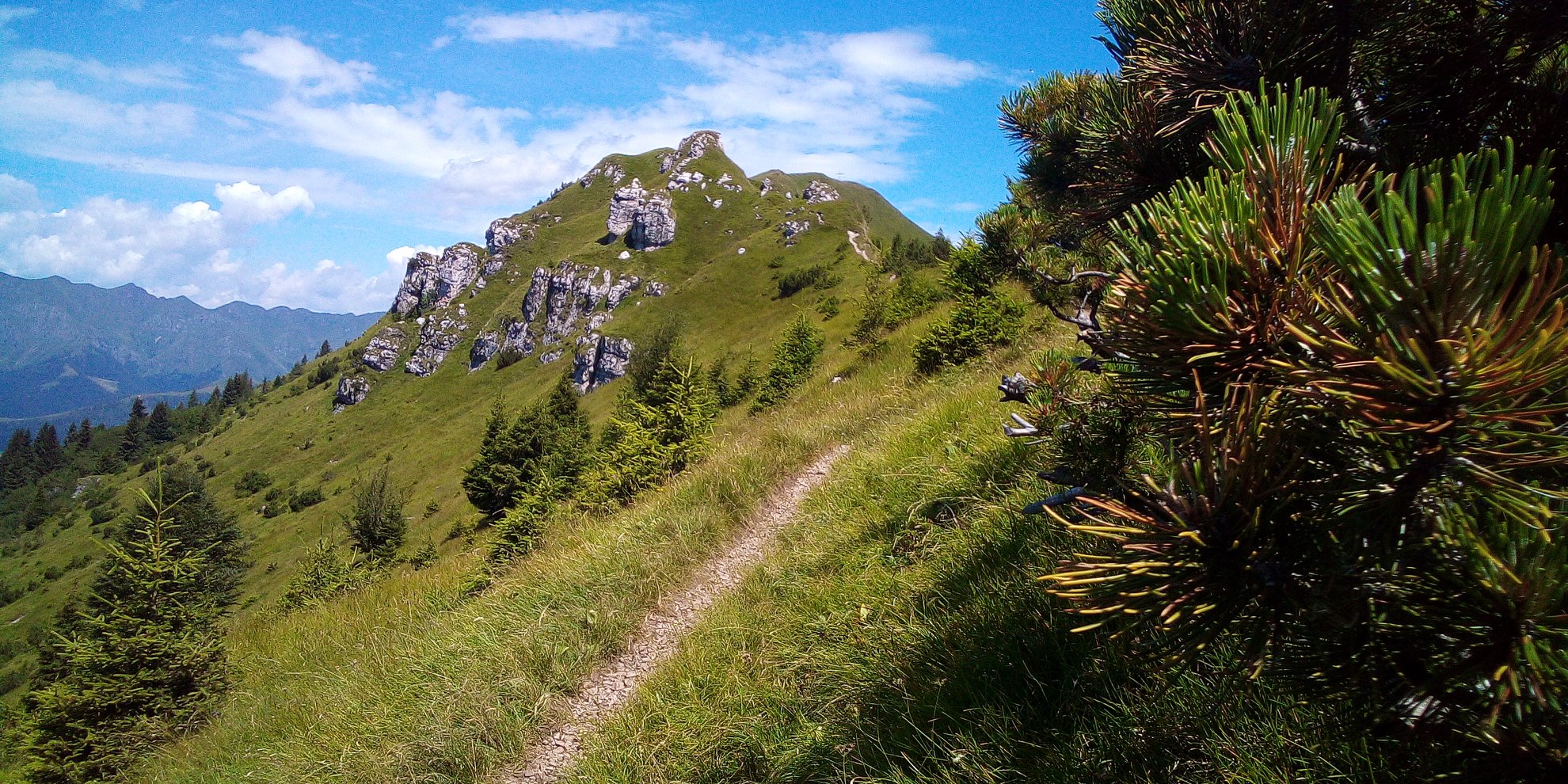 I SEGRETI DEGLI ALBERI MARMENTINO (BS)
