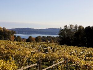 Sulla Via Francigena: da Viverone a Santhià