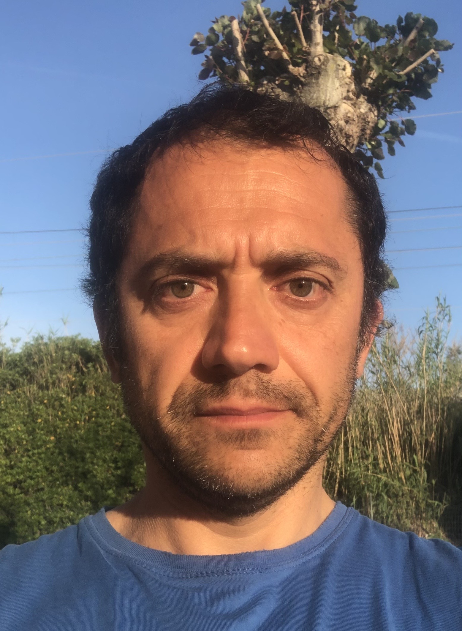 immagine di Luca Girelli