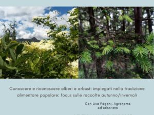 Corso con L’ Ospite: Il Bosco nel Piatto