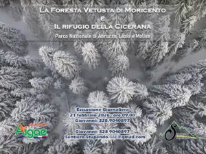 La Foresta Vetusta di Selva Moricento e Rifugio Cicerana