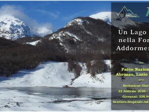 Un Lago Vivo Nella Foresta Addormentata