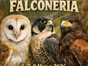 Corso di introduzione alla falconeria