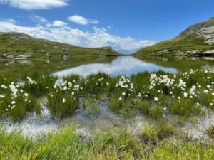 Trekking al Rifugio Cuney: escursione panoramica al santuario più alto d’Europa